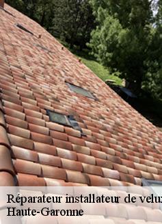 Réparateur installateur de velux 31 Haute-Garonne  L'entreprise Éclat Toiture 31