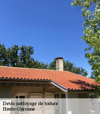 Devis nettoyage de toiture 31 Haute-Garonne  L'entreprise Éclat Toiture 31