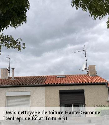 Devis nettoyage de toiture 31 Haute-Garonne  L'entreprise Éclat Toiture 31