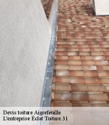 Devis toiture  aigrefeuille-31280 L'entreprise Éclat Toiture 31