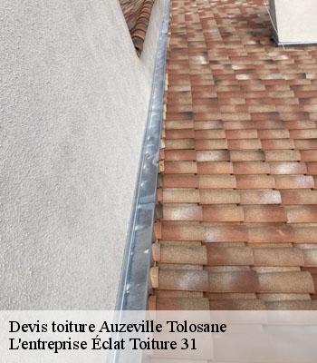 Devis toiture  auzeville-tolosane-31320 L'entreprise Éclat Toiture 31