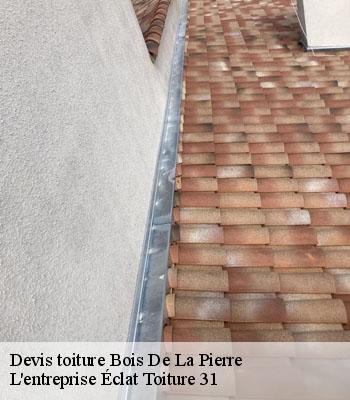 Devis toiture  bois-de-la-pierre-31390 L'entreprise Éclat Toiture 31