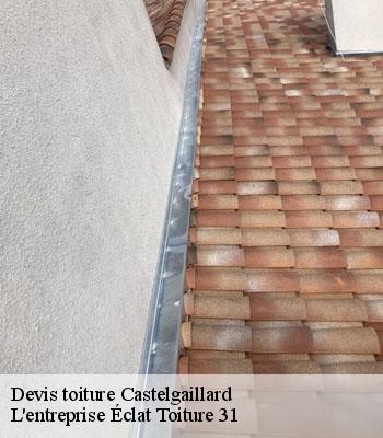 Devis toiture  castelgaillard-31230 L'entreprise Éclat Toiture 31