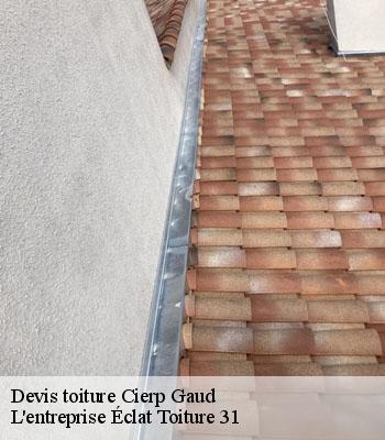 Devis toiture  cierp-gaud-31440 L'entreprise Éclat Toiture 31