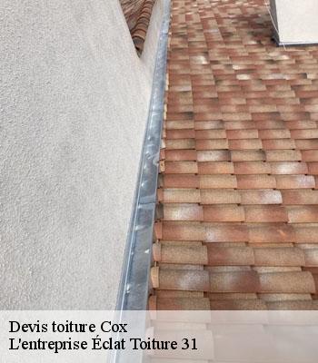 Devis toiture  cox-31480 L'entreprise Éclat Toiture 31