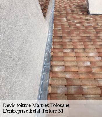 Devis toiture  martres-tolosane-31220 L'entreprise Éclat Toiture 31