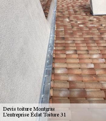 Devis toiture  montgras-31370 L'entreprise Éclat Toiture 31