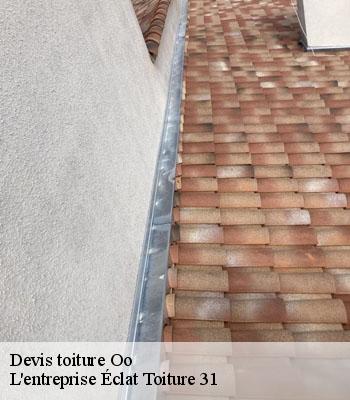 Devis toiture  oo-31110 L'entreprise Éclat Toiture 31