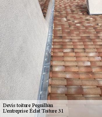 Devis toiture  peguilhan-31350 L'entreprise Éclat Toiture 31