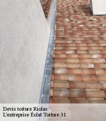 Devis toiture  riolas-31230 L'entreprise Éclat Toiture 31
