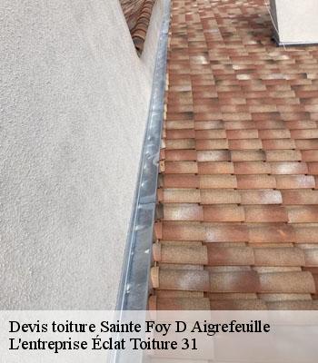 Devis toiture  sainte-foy-d-aigrefeuille-31570 L'entreprise Éclat Toiture 31