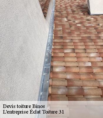 Devis toiture  binos-31440 L'entreprise Éclat Toiture 31
