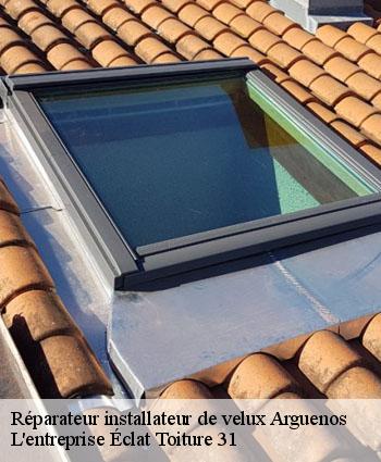 Réparateur installateur de velux  arguenos-31160 L'entreprise Éclat Toiture 31