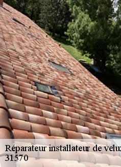 Réparateur installateur de velux  aurin-31570 L'entreprise Éclat Toiture 31