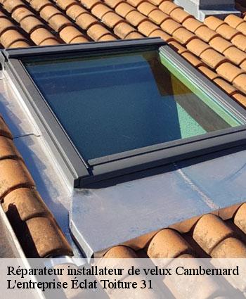 Réparateur installateur de velux  cambernard-31470 L'entreprise Éclat Toiture 31