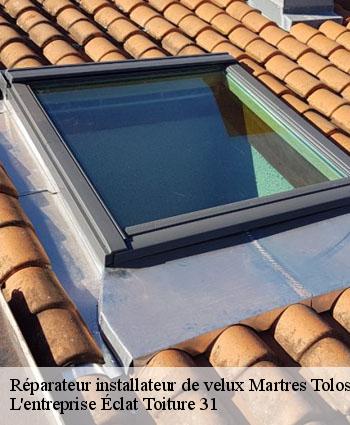 Réparateur installateur de velux  martres-tolosane-31220 L'entreprise Éclat Toiture 31