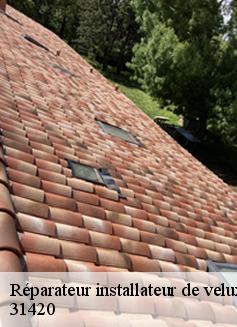 Réparateur installateur de velux  montoulieu-saint-bernard-31420 L'entreprise Éclat Toiture 31