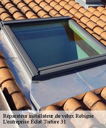 Réparateur installateur de velux  rebigue-31320 L'entreprise Éclat Toiture 31