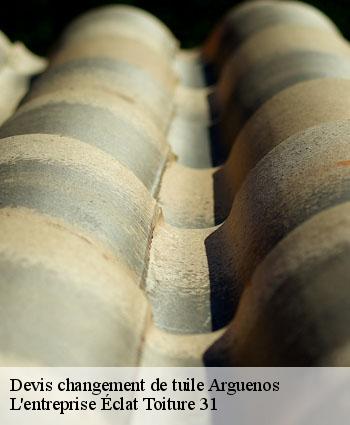 Devis changement de tuile  arguenos-31160 L'entreprise Éclat Toiture 31