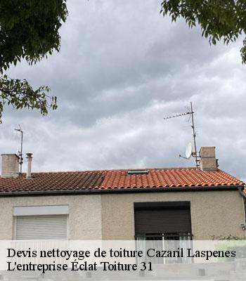 Devis nettoyage de toiture  cazaril-laspenes-31110 L'entreprise Éclat Toiture 31