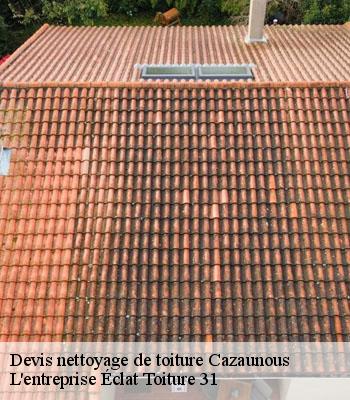 Devis nettoyage de toiture  cazaunous-31160 L'entreprise Éclat Toiture 31