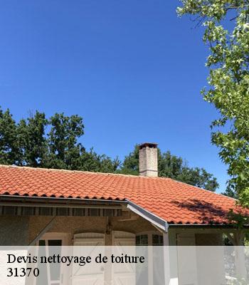 Devis nettoyage de toiture  montgras-31370 L'entreprise Éclat Toiture 31