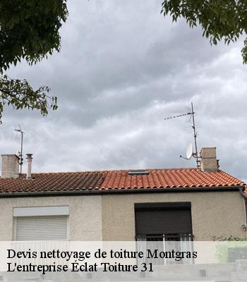 Devis nettoyage de toiture  montgras-31370 L'entreprise Éclat Toiture 31