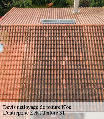 Devis nettoyage de toiture  noe-31410 L'entreprise Éclat Toiture 31