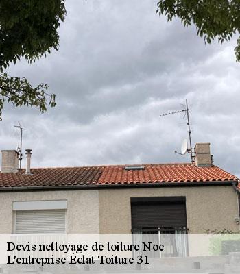 Devis nettoyage de toiture  noe-31410 L'entreprise Éclat Toiture 31