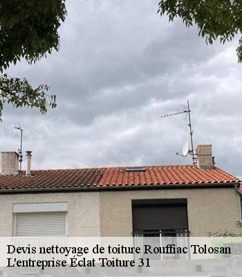 Devis nettoyage de toiture  rouffiac-tolosan-31180 L'entreprise Éclat Toiture 31