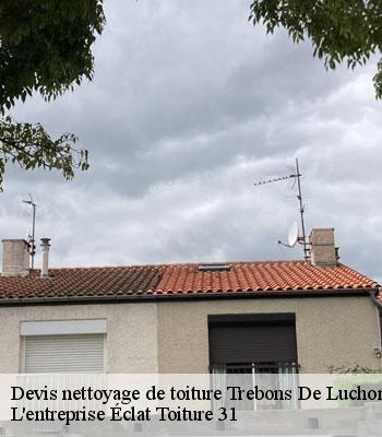 Devis nettoyage de toiture  trebons-de-luchon-31110 L'entreprise Éclat Toiture 31