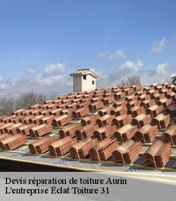 Devis réparation de toiture  aurin-31570 L'entreprise Éclat Toiture 31