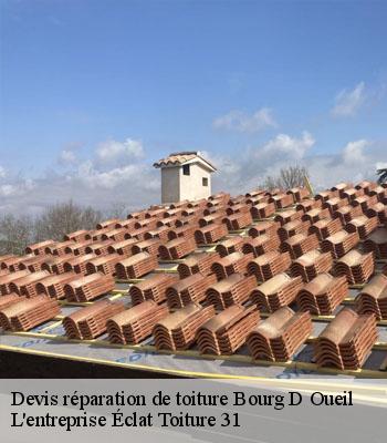 Devis réparation de toiture  bourg-d-oueil-31110 L'entreprise Éclat Toiture 31