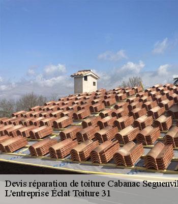 Devis réparation de toiture  cabanac-seguenville-31480 L'entreprise Éclat Toiture 31