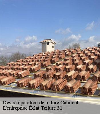 Devis réparation de toiture  calmont-31560 L'entreprise Éclat Toiture 31