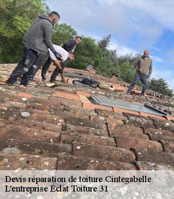Devis réparation de toiture  cintegabelle-31550 L'entreprise Éclat Toiture 31