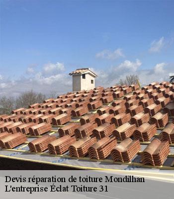 Devis réparation de toiture  mondilhan-31350 L'entreprise Éclat Toiture 31