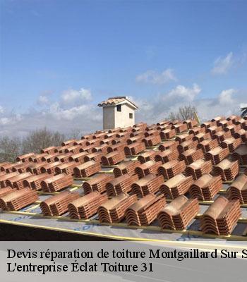 Devis réparation de toiture  montgaillard-sur-save-31350 L'entreprise Éclat Toiture 31