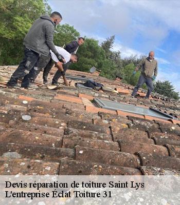 Devis réparation de toiture  saint-lys-31470 L'entreprise Éclat Toiture 31