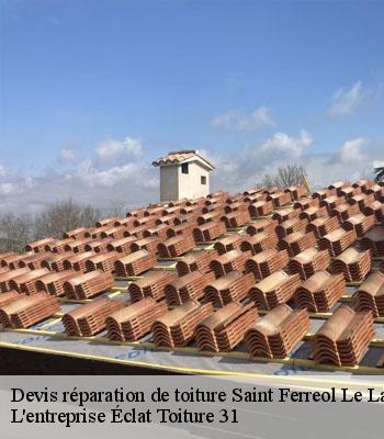 Devis réparation de toiture  saint-ferreol-le-lac-31250 L'entreprise Éclat Toiture 31