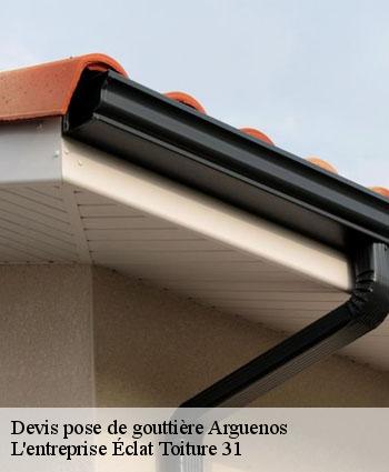 Devis pose de gouttière  arguenos-31160 L'entreprise Éclat Toiture 31