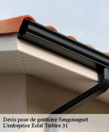 Devis pose de gouttière  sengouagnet-31160 L'entreprise Éclat Toiture 31
