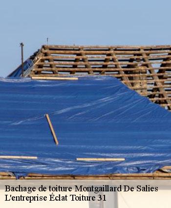 Bachage de toiture  montgaillard-de-salies-31260 L'entreprise Éclat Toiture 31