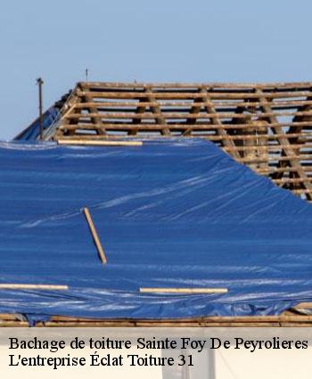 Bachage de toiture  sainte-foy-de-peyrolieres-31470 L'entreprise Éclat Toiture 31