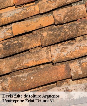 Devis fuite de toiture  arguenos-31160 L'entreprise Éclat Toiture 31