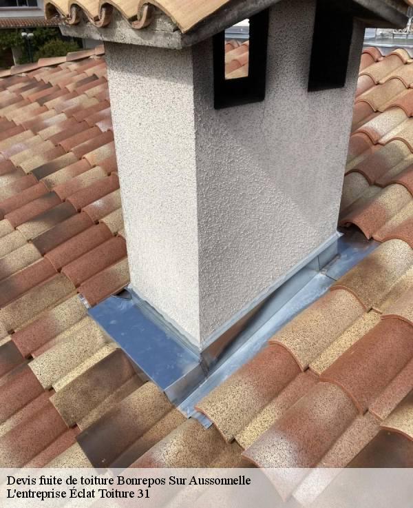 Devis fuite de toiture  bonrepos-sur-aussonnelle-31470 L'entreprise Éclat Toiture 31