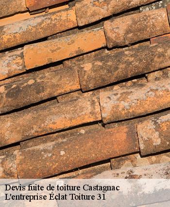 Devis fuite de toiture  castagnac-31310 L'entreprise Éclat Toiture 31