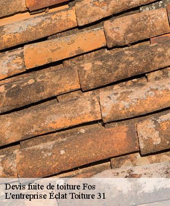 Devis fuite de toiture  fos-31440 L'entreprise Éclat Toiture 31