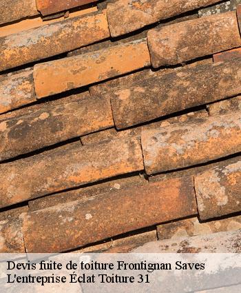 Devis fuite de toiture  frontignan-saves-31230 L'entreprise Éclat Toiture 31