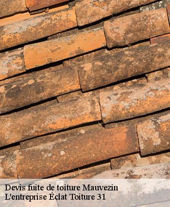 Devis fuite de toiture  mauvezin-31230 L'entreprise Éclat Toiture 31